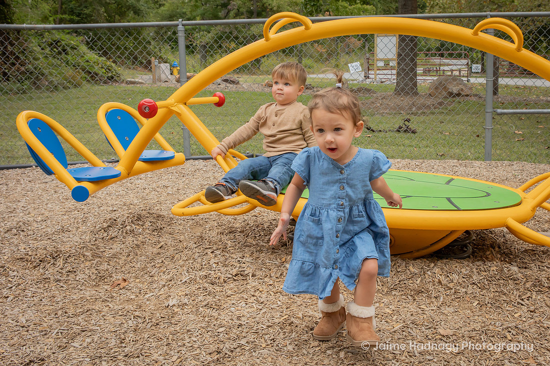 Extended Family Photos in the Park | Asheville Professional Photographer