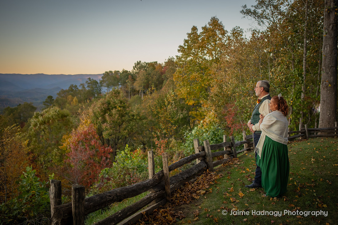 Wedding Portraits in Asheville