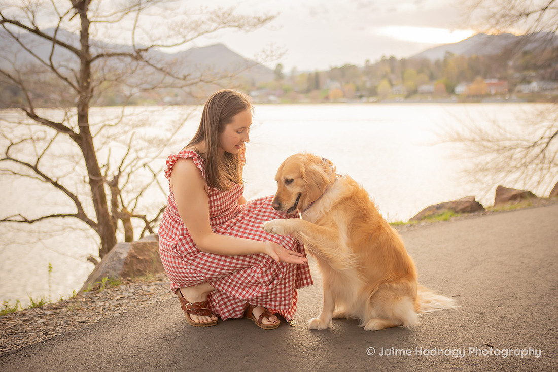 Cute Dog Photography | Asheville Pet Photographer 