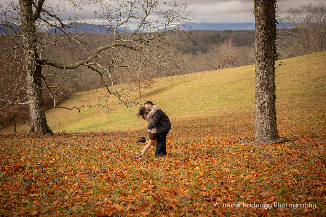Beautiful Fall Engagement Photos at Biltmore Estate | Asheville Photographer