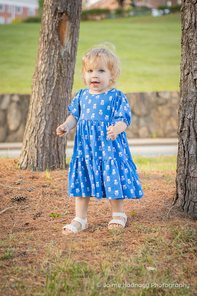 Asheville Children's Photographer