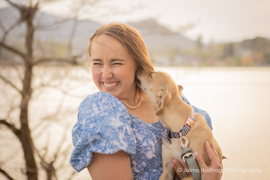 Cute Dog Photography | Asheville Pet Photographer 