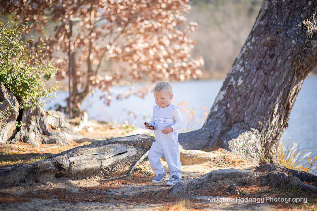Family Photography in Asheville with One Year Old at Beaver Lake and the Bird Sanctuary