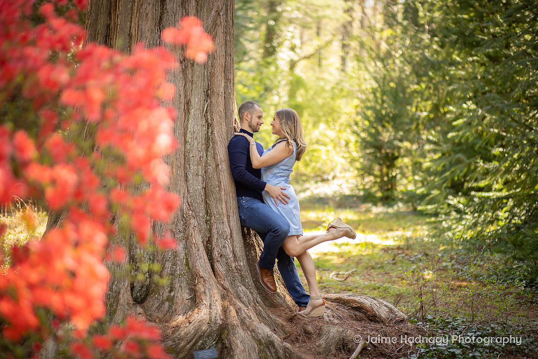 Engagement Photos in the Gardens of the Biltmore 