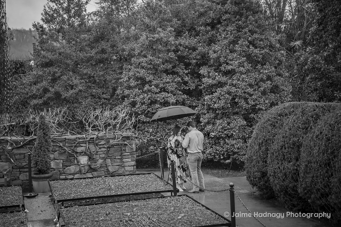 Rainy Day Proposal Photography at the Arboretum in Asheville | Engagement Photographer