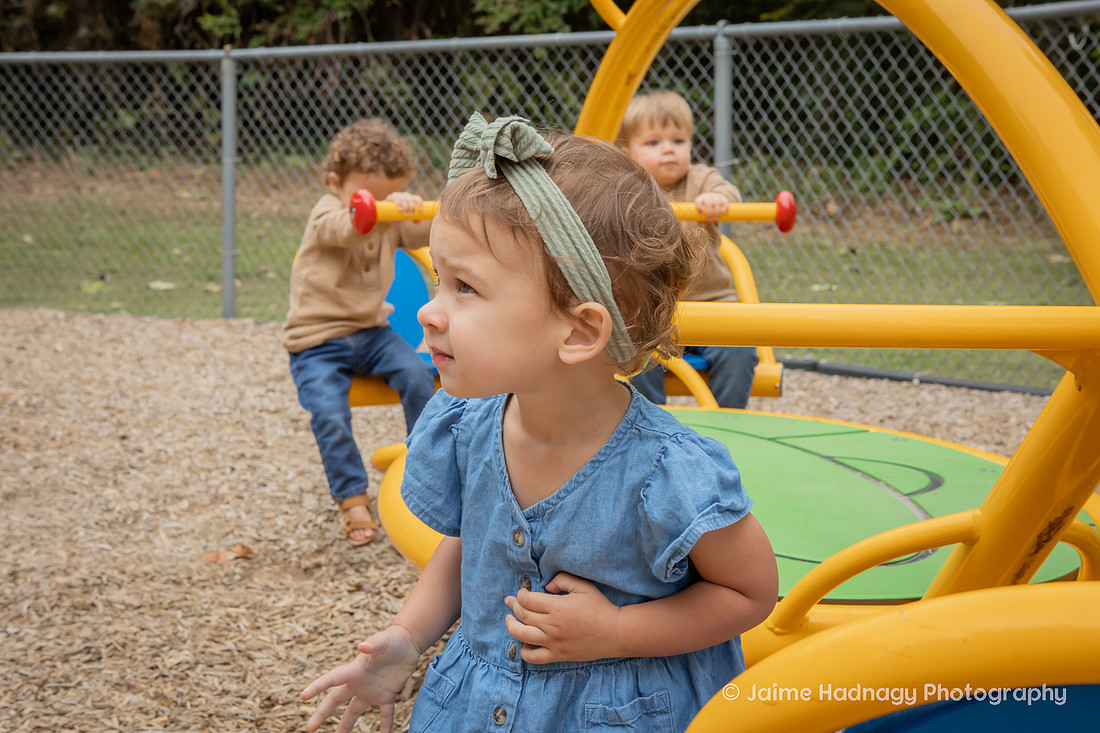 Extended Family Photos in the Park | Asheville Professional Photographer