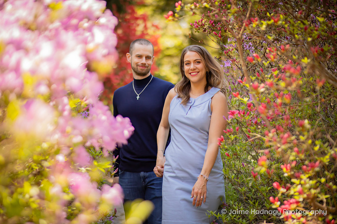 Asheville Engagement Photographer Session at Biltmore Estate Gardens