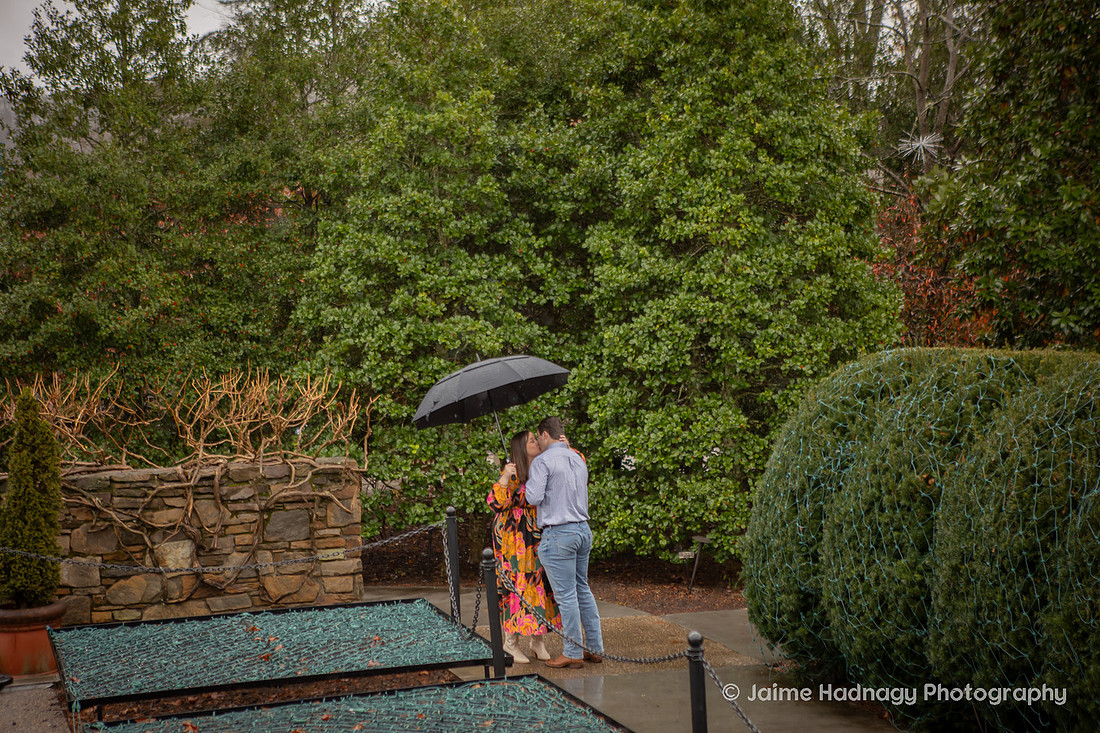 Rainy Day Proposal Photography at the Arboretum in Asheville | Engagement Photographer