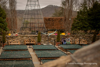 Hannah & Brett: Arboretum Proposal in Asheville