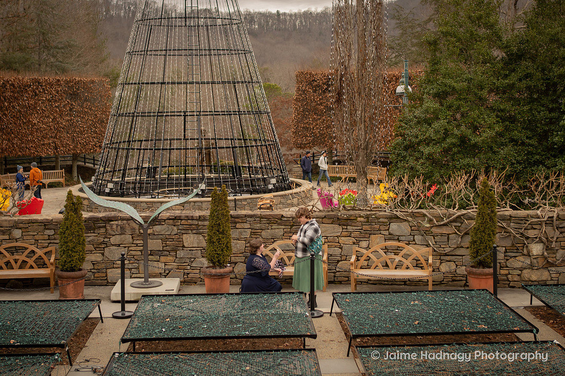 LGBTQ Surprise Proposal at Arboretum in Asheville | Photographer