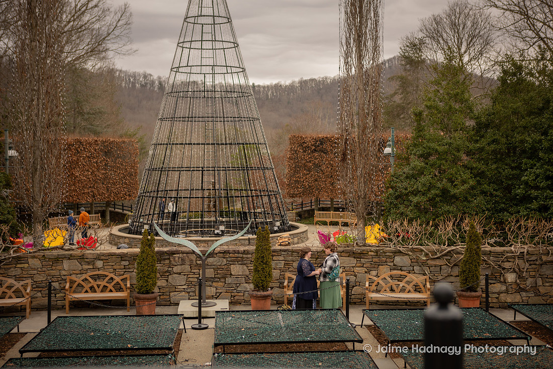 LGBTQ Surprise Proposal at Arboretum in Asheville | Photographer