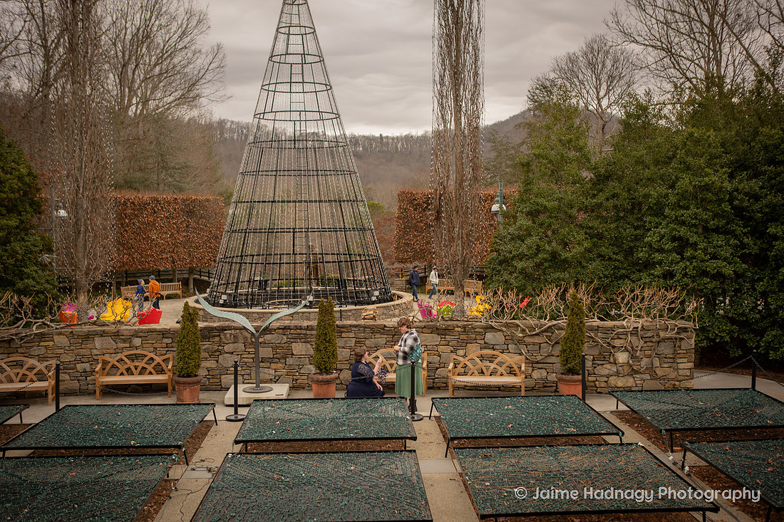 LGBTQ Surprise Proposal at Arboretum in Asheville | Photographer
