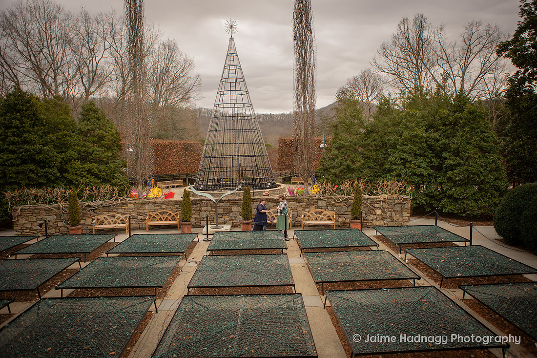 LGBTQ Surprise Proposal at Arboretum in Asheville | Photographer