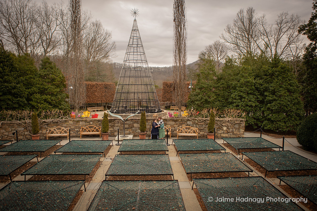 LGBTQ Surprise Proposal at Arboretum in Asheville | Photographer