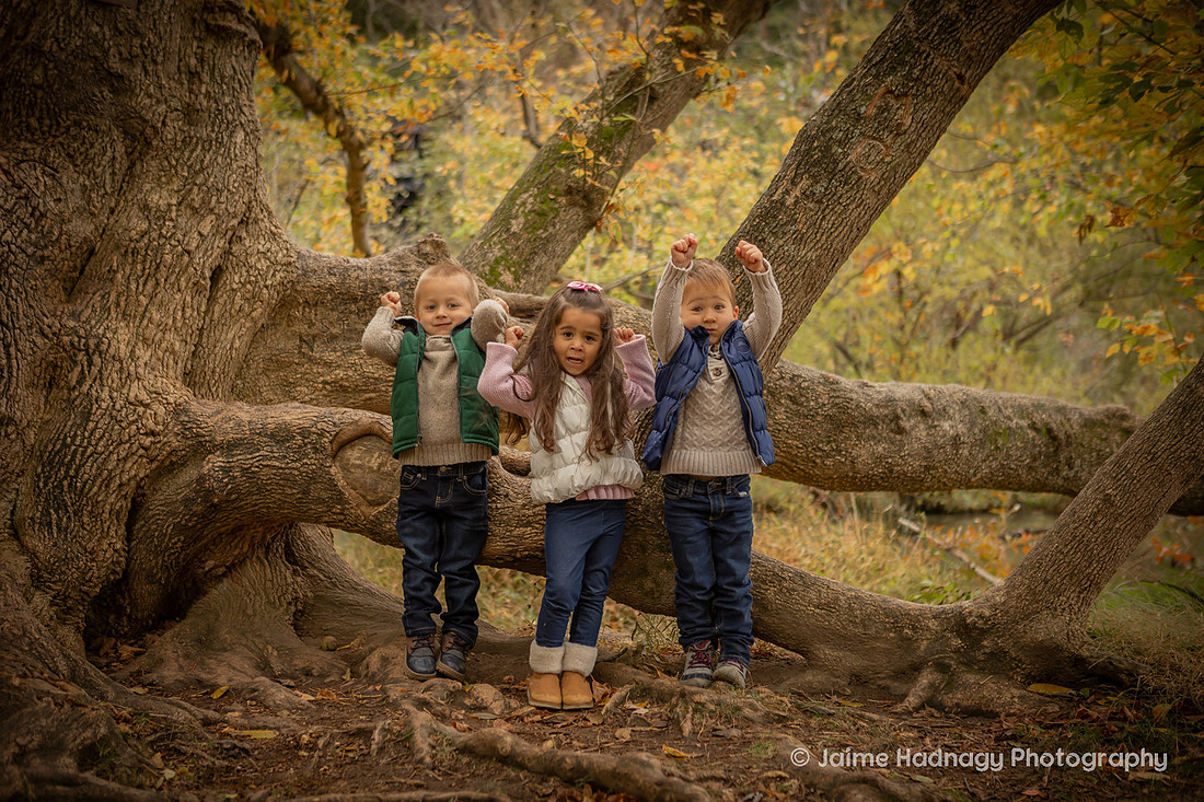 Outdoor Family Photos in Asheville with 4 Year Old Triplets