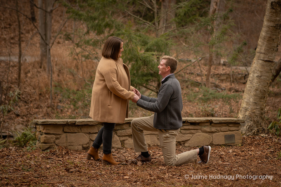 Surprise Proposal at the Botanical Gardens in Asheville | Engagement Photography