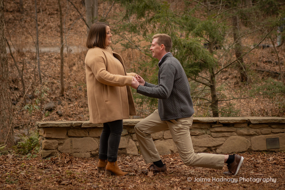 Surprise Proposal at the Botanical Gardens in Asheville | Engagement Photography