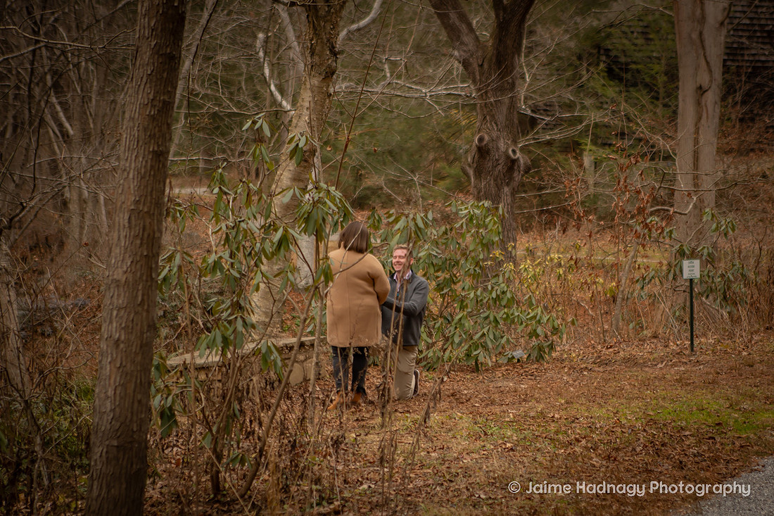 Surprise Proposal at the Botanical Gardens in Asheville | Engagement Photography
