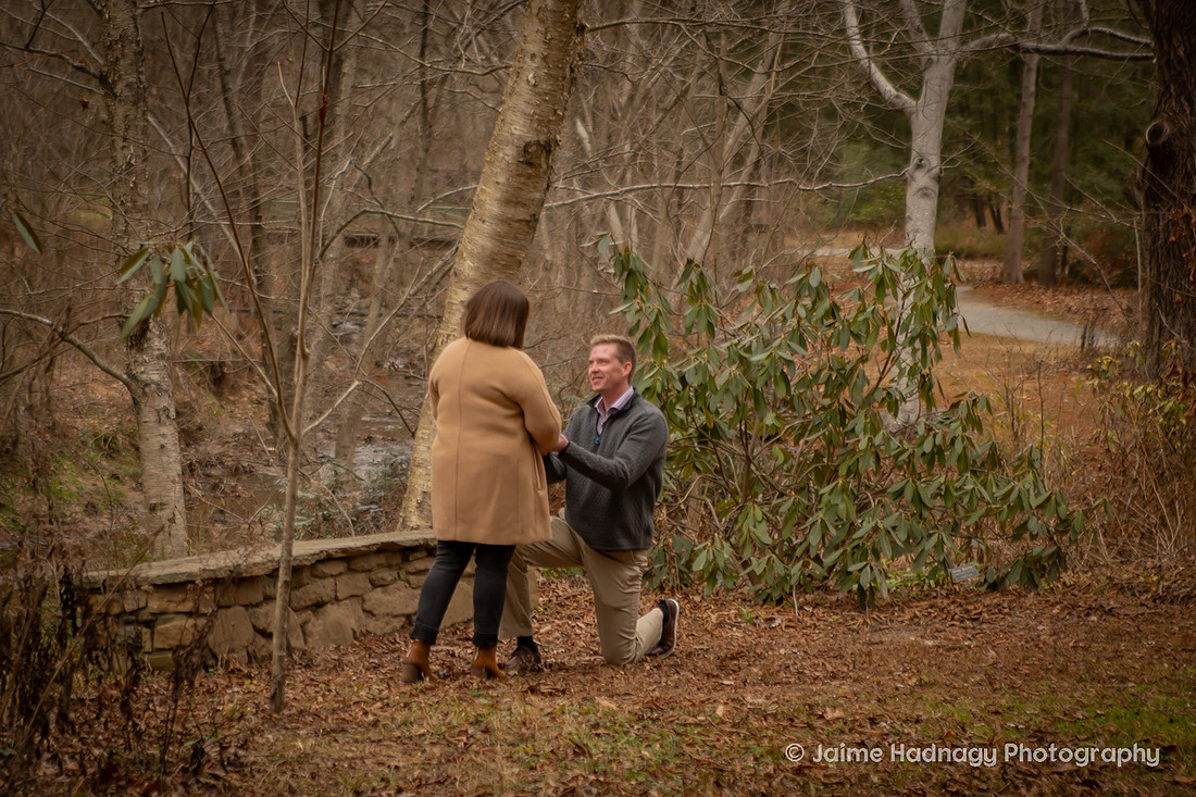 Surprise Proposal at the Botanical Gardens in Asheville | Engagement Photography