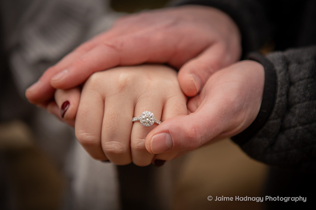 Surprise Proposal at the Botanical Gardens in Asheville | Engagement Photography