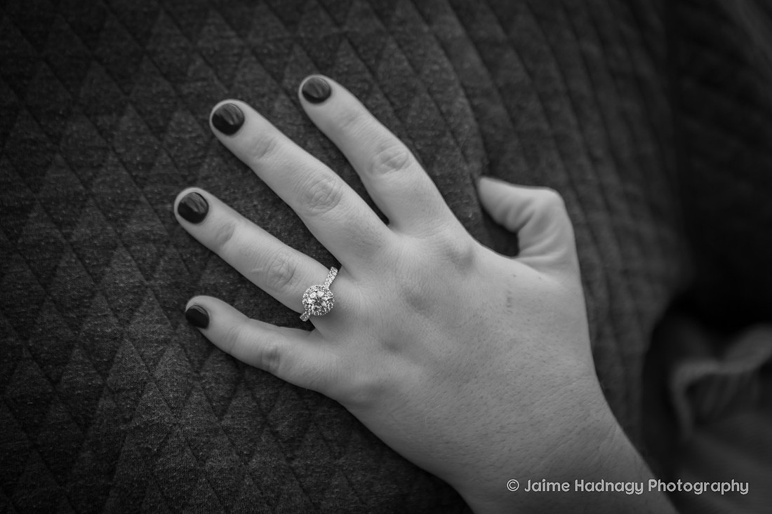 Surprise Proposal at the Botanical Gardens in Asheville | Engagement Photography