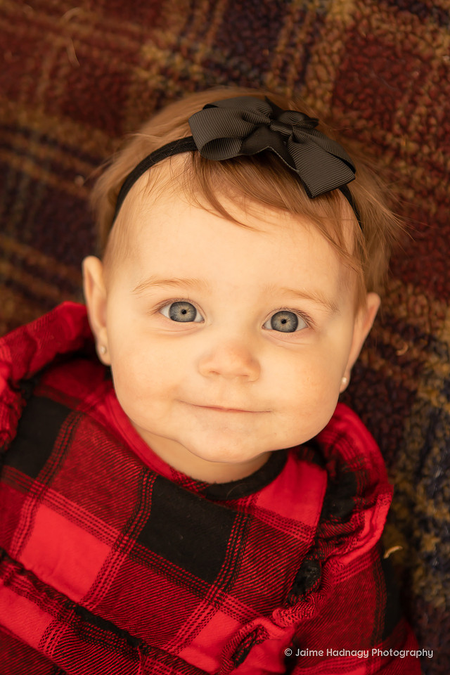 Asheville Baby Photogapher