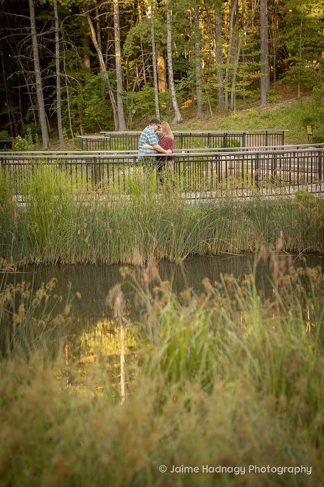 Engagement Session at NC Arboretum