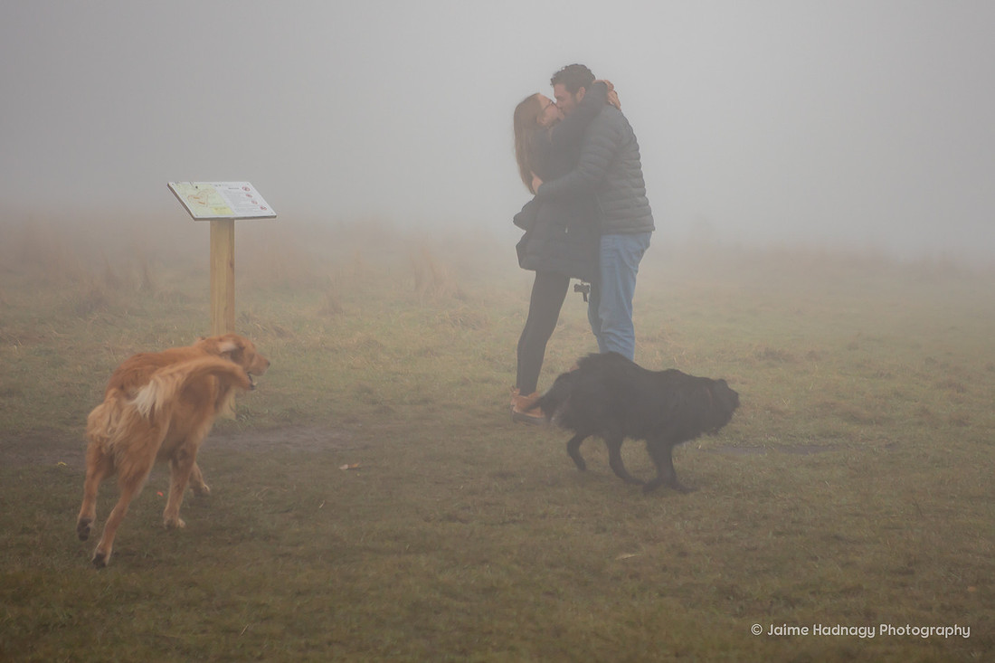 Foggy Engagement at Max Patch | Surprise Proposal Asheville Photographer