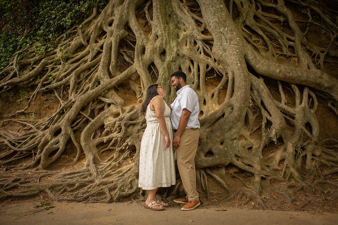 Engagement Photography in Falls Park in Greenville SC 