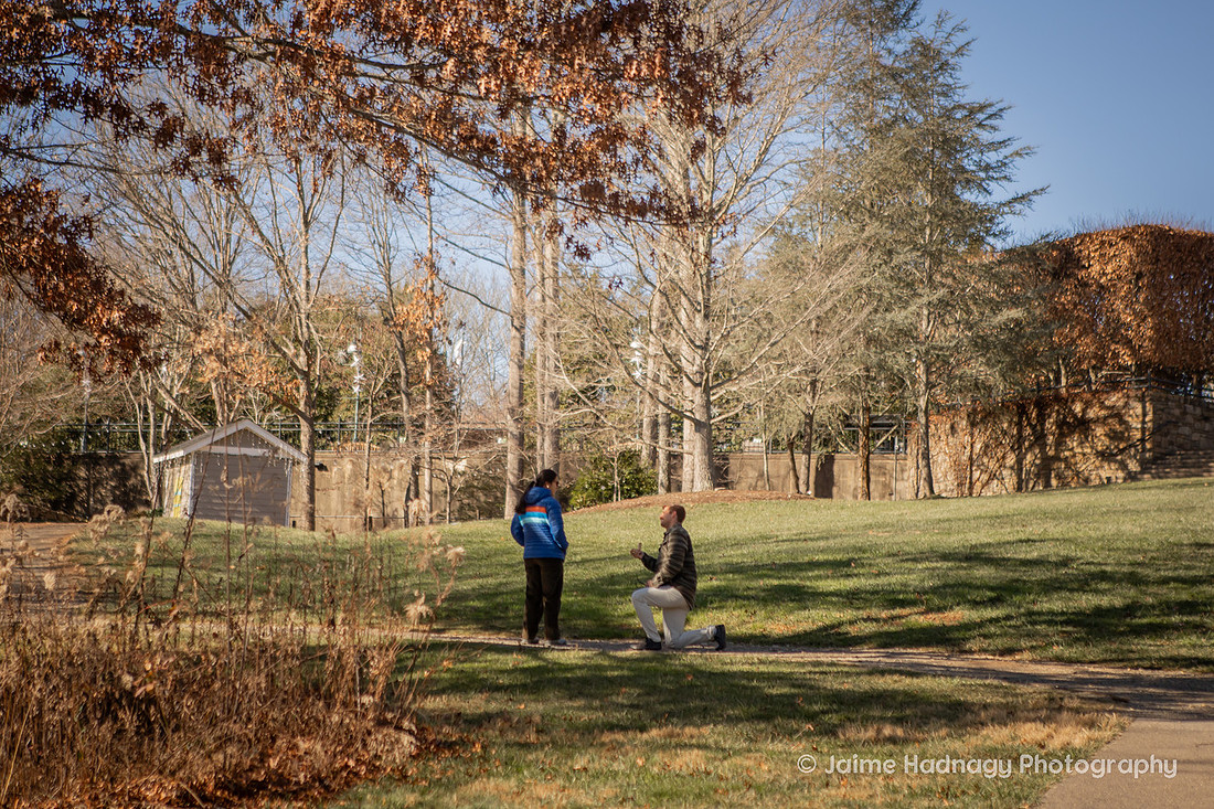 Surprise Proposal at the NC Arboretum | Asheville Proposal Photographer