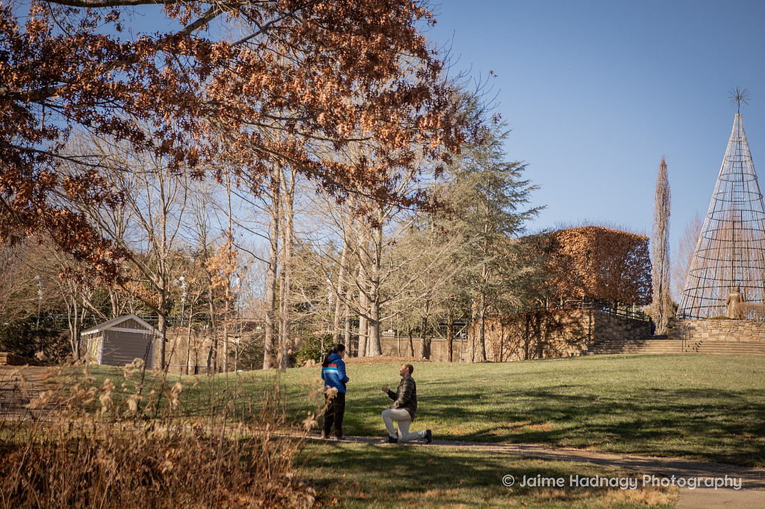 Surprise Proposal at the NC Arboretum | Asheville Proposal Photographer