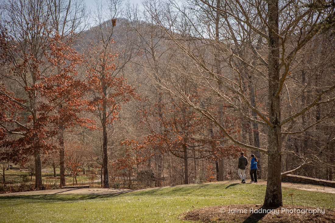 Couple Walking on a Path in the Arboretum in NC