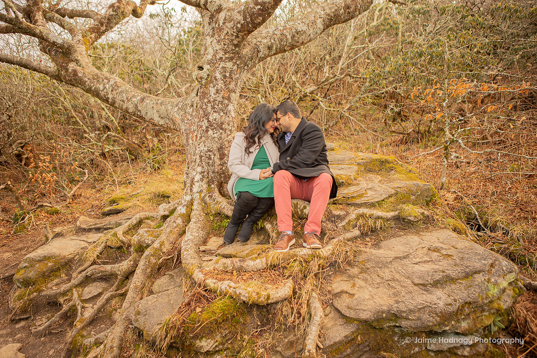 Asheville Engagement Photographer| Hiking Photoshoot in the mountains
