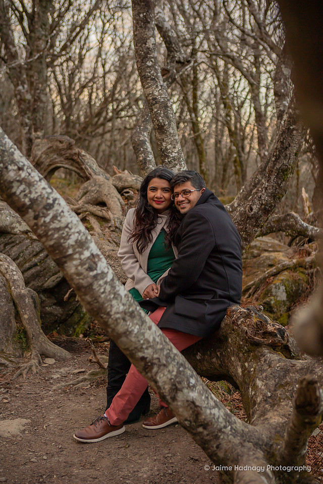 Forest Couples Photos in NC | Asheville Photographer