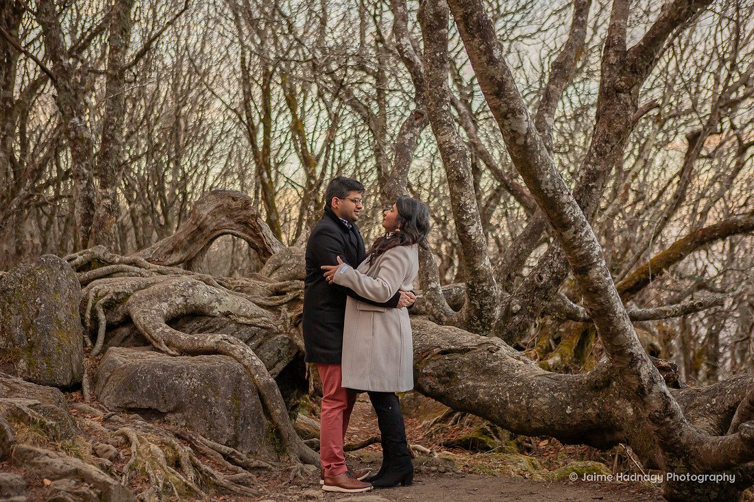Forest Couples Photos in NC | Asheville Photographer