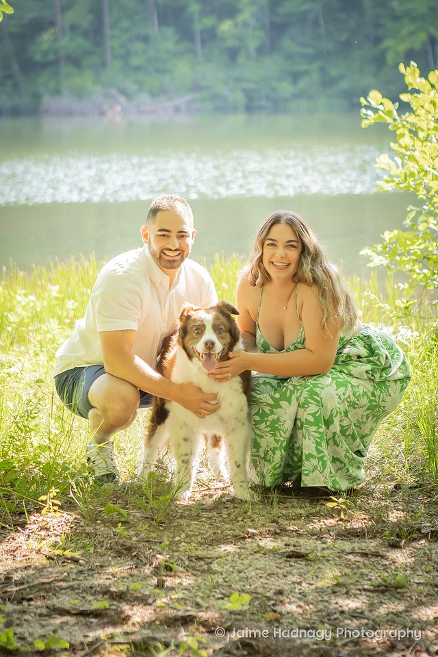 End of life photoshoot for dog | Asheville Pet Photographer