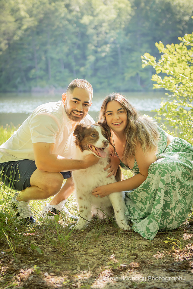 End of life photoshoot for dog | Asheville Pet Photographer