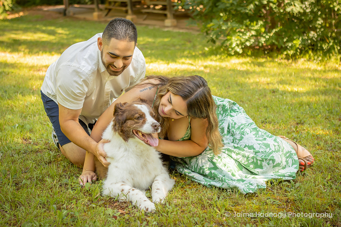 End of life photoshoot for dog | Asheville Pet Photographer