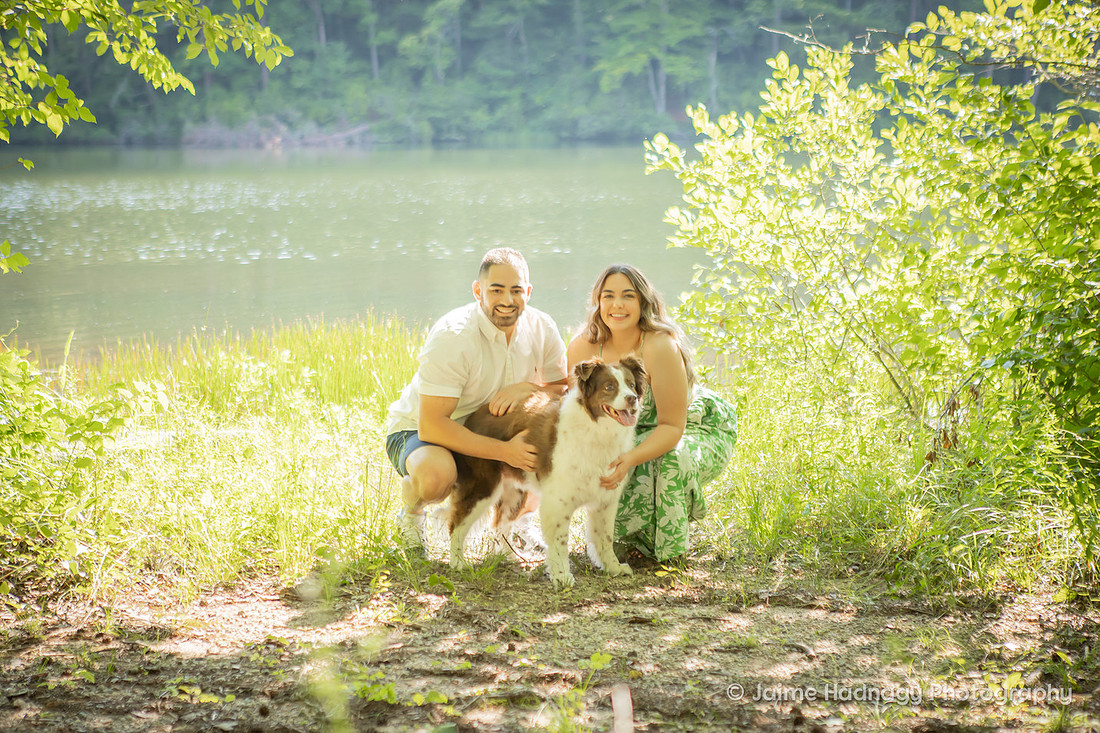 Photoshoot with Elderly Dog in Nature