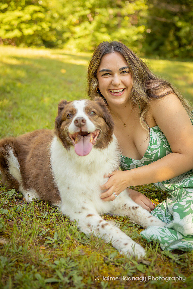 End of life photoshoot for dog | Asheville Pet Photographer