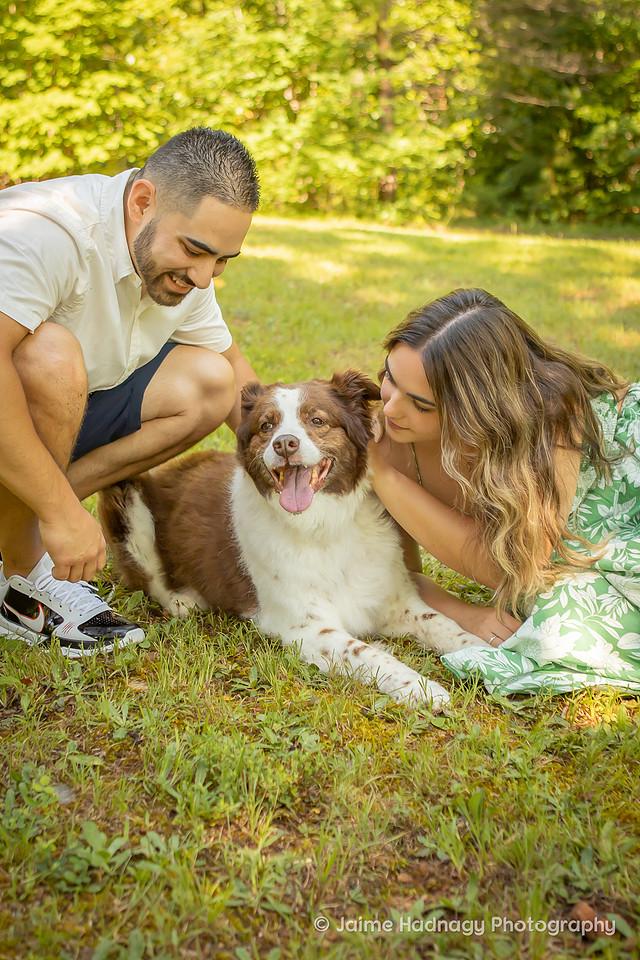 End of life photoshoot for dog | Asheville Pet Photographer