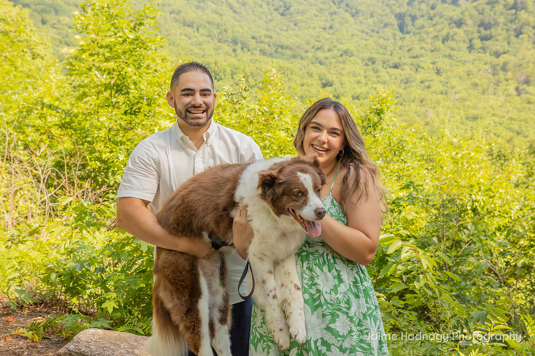 Loving Photoshoot with Senior Dog | Furbaby Pet Photographer Asheville