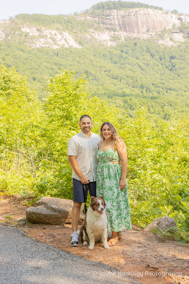 Loving Photoshoot with Senior Dog | Furbaby Pet Photographer Asheville