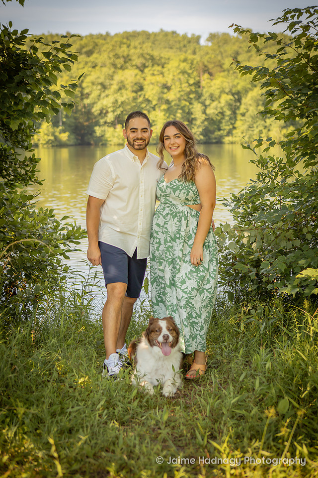 Loving Photoshoot with Senior Dog | Furbaby Pet Photographer Asheville