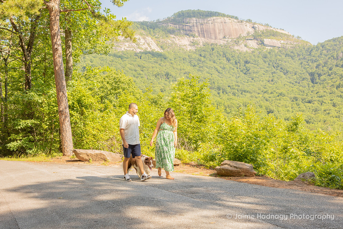Loving Photoshoot with Senior Dog | Furbaby Pet Photographer Asheville