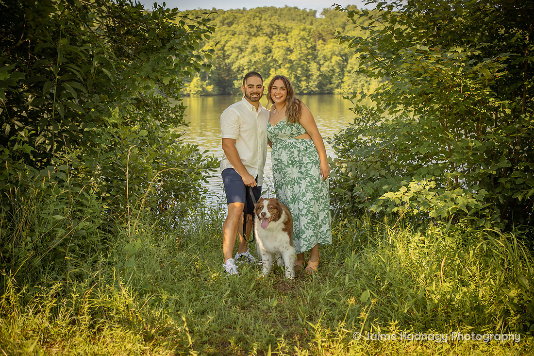 Loving Photoshoot with Senior Dog | Furbaby Pet Photographer Asheville