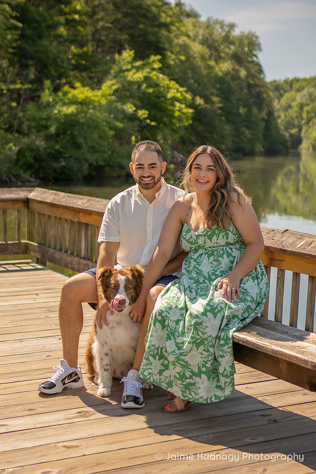 Surprise Proposal and Pet Photography Asheville