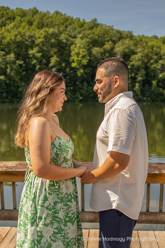 Surprise Proposal and Pet Photography Asheville
