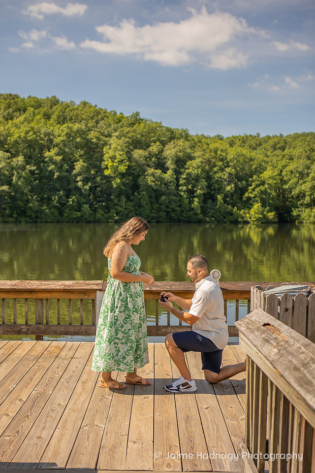 Surprise Proposal | Asheville Engagement Photographer