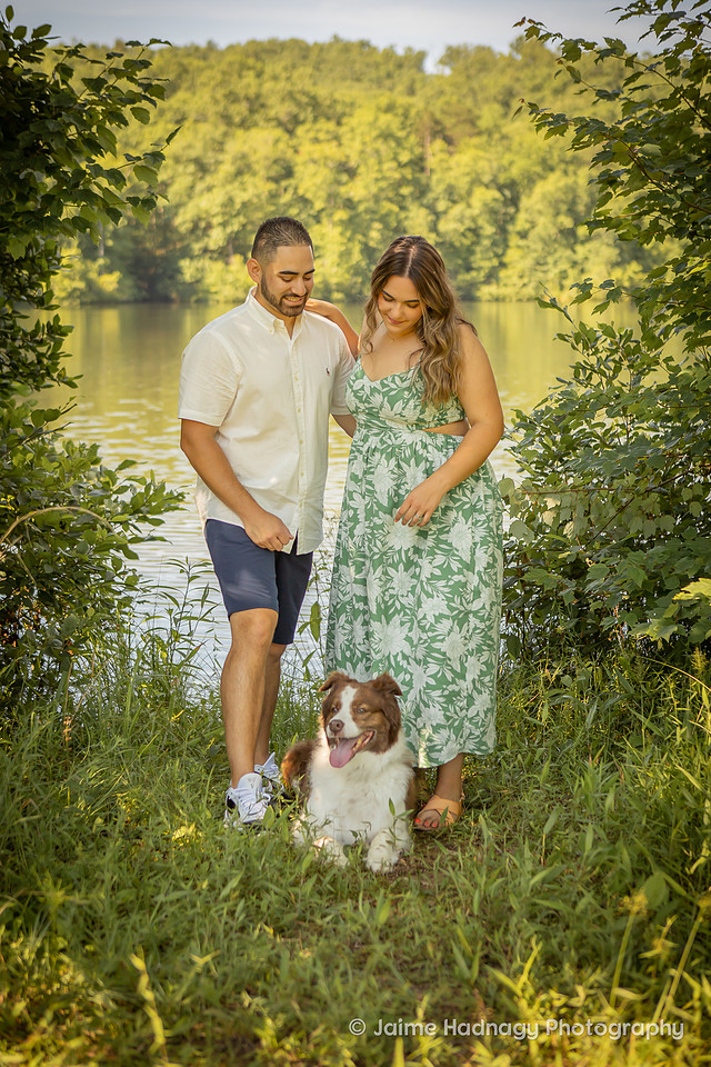 Dog Photoshoot | Asheville Pet Photographer